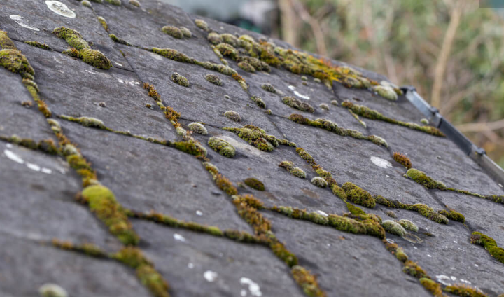 如何更换自己的屋顶 屋顶漏水怎么修理好一些1