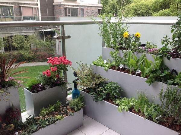 阳台改造成花园怎么装修设计好 需要注意的事项有哪些