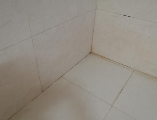 卫生间瓷砖清洗小窍门  亲身经历告诉卫生间瓷砖这样清洗更干净！