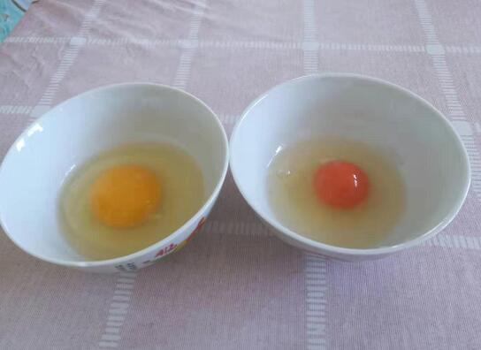 土鸡蛋和饲料鸡蛋营养价值一样吗？图文讲解土鸡蛋和普通鸡蛋区别！