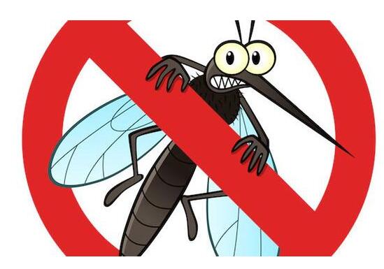 蚊子怕什么？夏天驱蚊什么东西最有用？2