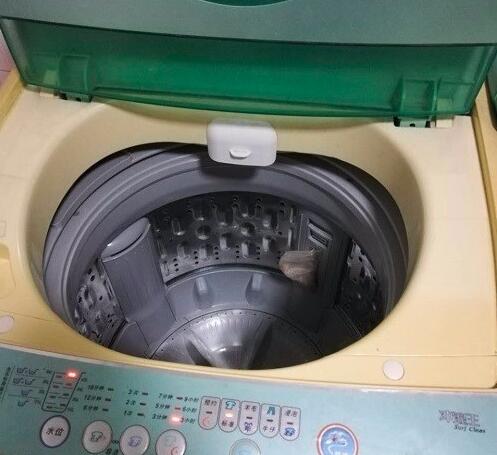 洗衣机洗涤桶不转只发出嗡嗡声是怎么回事？洗涤的时候不转脱水也不转？