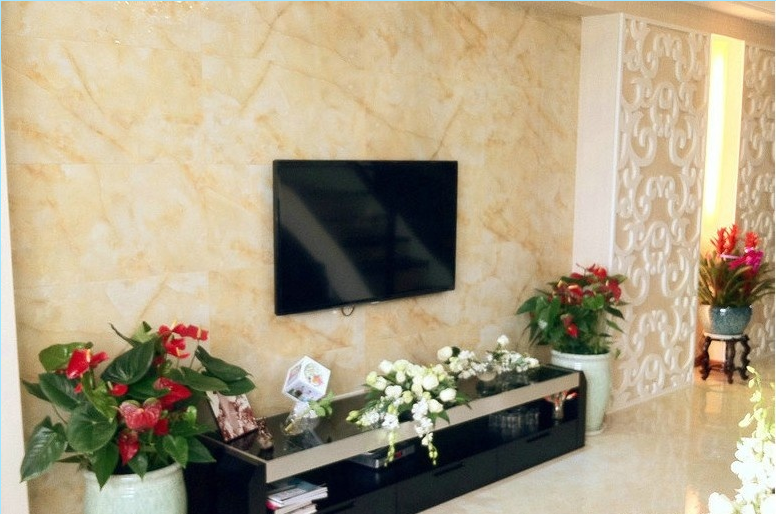 滁州裕安水上花园一居室10平米瓷砖壁挂式电视墙镂空板玄关黑色电视柜效果图